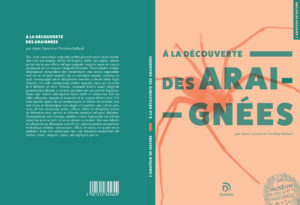 couverture-araignee-graphisme-design-orange